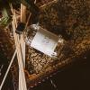imageSweet Water Decor Coastal Lemon Clear Reed Diffuser  Room Decor Aesthetic with LongLasting Premium Fragrance of Lemon Sea Salt Jasmine ampamp Driftwood for 4 Months  Ideal for Home DcorLuxury Getaway