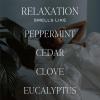 imageSweet Water Decor Coastal Lemon Clear Reed Diffuser  Room Decor Aesthetic with LongLasting Premium Fragrance of Lemon Sea Salt Jasmine ampamp Driftwood for 4 Months  Ideal for Home DcorRelaxation