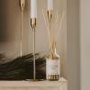 imageSweet Water Decor Coastal Lemon Clear Reed Diffuser  Room Decor Aesthetic with LongLasting Premium Fragrance of Lemon Sea Salt Jasmine ampamp Driftwood for 4 Months  Ideal for Home DcorChristmas Tree