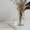 imageSweet Water Decor Coastal Lemon Clear Reed Diffuser  Room Decor Aesthetic with LongLasting Premium Fragrance of Lemon Sea Salt Jasmine ampamp Driftwood for 4 Months  Ideal for Home DcorSalt  Sea No 35