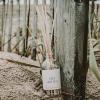 imageSweet Water Decor Coastal Lemon Clear Reed Diffuser  Room Decor Aesthetic with LongLasting Premium Fragrance of Lemon Sea Salt Jasmine ampamp Driftwood for 4 Months  Ideal for Home DcorSalt  Sea
