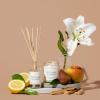 imageSweet Water Decor Coastal Lemon Clear Reed Diffuser  Room Decor Aesthetic with LongLasting Premium Fragrance of Lemon Sea Salt Jasmine ampamp Driftwood for 4 Months  Ideal for Home DcorFresh Apple Blossom