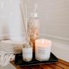imageSweet Water Decor Coastal Lemon Clear Reed Diffuser  Room Decor Aesthetic with LongLasting Premium Fragrance of Lemon Sea Salt Jasmine ampamp Driftwood for 4 Months  Ideal for Home DcorRelaxation