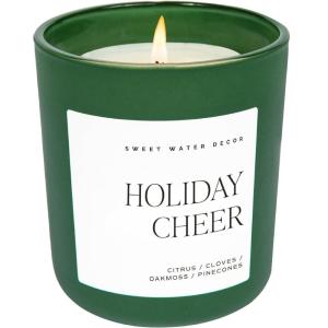 imageSweet Water Decor Spiced Apple Cider Soy Candle  Orange Lemon and Cinnamon Scented Candle for Home  15oz Orange Jar 70 Hour Burn Time Made in the USAGreen