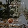imageSweet Water Decor Trick or Treat Candle Autumn Scented Notes of Pumpkin Spices ampamp Caramel 40 Hour Burn Time NonToxic Soy Wax Blend Poured in the USA Cotton Wick 9oz Glass Jar with Gold LidTrick or Treat