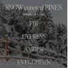 imageSweet Water Decor Warm and Cozy Candle Pine Cinnamon ampamp Fir Scented Winter Candles for Home Large 15oz Black Jar 70 Hour Burn Time NonToxic Soy Blend Wax Stocking Stuffer Made in The USAGreen
