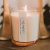 image:imageSweet Water Decor Cashmere and Vanilla Scented Soy Candles  Milky Coconut Jasmine Soft Cashmere Exotic Musk  Cozy Aroma  50 Hour Burn  12oz Tinted Glass Jar for Home Decor and Bedroom DecorChristmas Tree