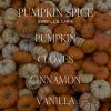 image:imageSweet Water Decor Cashmere and Vanilla Scented Soy Candles  Milky Coconut Jasmine Soft Cashmere Exotic Musk  Cozy Aroma  50 Hour Burn  12oz Tinted Glass Jar for Home Decor and Bedroom DecorPumpkin Spice