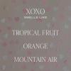image:imageSweet Water Decor XOXO Scented Candles  Soy Candles with Tropical Fruits Lemons amp Redolent with Lightly Exotic Mountains Greens  Candle Wax with 70 Hours Burn Time  15Oz Pink Matte Jar CandlesXOXO