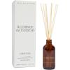 image:imageSweet Water Decor Cashmere and Vanilla Reed Diffuser Set for Home  Milky Coconut Soft Cashmere Bourbon Vanilla Sandalwood Scented Reed Diffusers  Lasts 4 Months Made in The USAChristmas