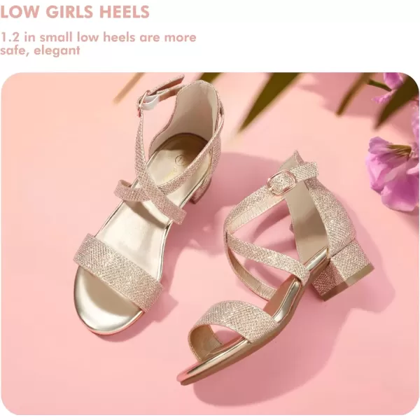 imagePANDANINJIA Girls Dress Shoes Toddler Kids Heels Sandals Ankle Strap Wedding Party Phoebe Flower Girl ShoesD Gold Glitter