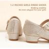 imagePANDANINJIA Girls Dress Shoes Toddler Little Big Kid Chunky Heels Wedding Party School PNEMY Flower Girl ShoesGold Glitter