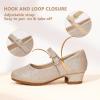 imagePANDANINJIA Girls Dress Shoes Toddler Little Big Kid Chunky Heels Wedding Party School PNEMY Flower Girl ShoesGold Glitter