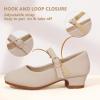 imagePANDANINJIA Girls Dress Shoes Toddler Little Big Kid Chunky Heels Wedding Party School PNEMY Flower Girl ShoesNude Nubuck