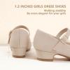 imagePANDANINJIA Girls Dress Shoes Toddler Little Big Kid Chunky Heels Wedding Party School PNEMY Flower Girl ShoesNude Nubuck