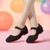 imagePANDANINJIA Girls Dress Shoes Patent Ballerina Flats Toddler Little Big Kid Mary Jane Low Heels ShoesBlacksuede