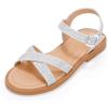 Elva Silver Glitter