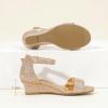 imagePANDANINJIA Girls Sandals Low Heels Round Open Toe Flower Girls Shoes Ankle Strap Wedding Party Little Big Kids Dress ShoesGold Rhinestone