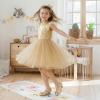 image:imagePANDANINJIA Girls ToddlerLittle Kid Jada Dress Mary Jane Pumps Bow Low Heels Party Wedding Princess ShoesGold Glitter