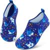 Blue Shark