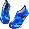 Blue Dolphin