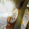 imageJergens Hydrating Coconut Body Moisturizer 168 Ounce Pack of 3168 Fl Oz Pack of 1