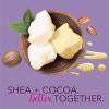 imageJergens Shea  Cocoa Butter Body Lotion for Dry Skin Deep Conditioning Moisturizer with Vitamins E ampamp B3 85 oz
