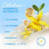 imageMAREE Colostrum Supplement  Bovine Colostrum Powder for Women ampamp Men for Gut Health  Grass Fed Colustrum Immune Support Supplement Gut Health for Women with L Glutamine  Calostro Bovino Para Adultos423 Ounce Pack of 1