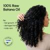 image:imageMAREE Batana Oil for Hair Growth  100 Natural Botana Oils Hair Growth  Raw Batama Oil Paste from Honduras  Density Thickness amp Scalp Soothing for Women and Men  Aceite de Batana Para el Cabello49 Fl Oz Pack of 1