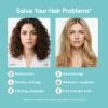 image:imageMAREE Curl Repair Hair Mask  Deep Conditioning Care for Damaged Dry Curly Hair Products for Women amp Men  Curl Moisturizer amp Conditioner  Tratamiento Mascarilla para el Cabello Seco y MaltratadoLeaveIn Hair Mask