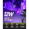 image:imageHIBOITEC Halloween Black Light Spotlight Outdoor 12W IP65 Waterproof LED Spot Lights Landscape Lighting with US Plug for Glow Party Body Paint Yard Garden Decorations 4Packs2 Pack