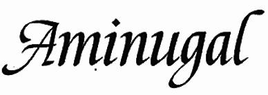AMINUGAL Shoes
