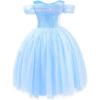 imagePrincess Costumes for Girls  Light Up Princess Dress Up Clothes for Girls Halloween Costume Christmas Birthday PartyBlue