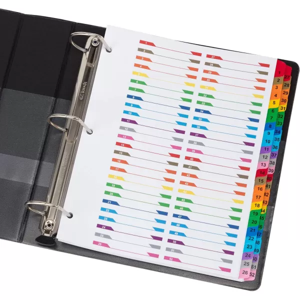 Amazon Basics 12 Tab Monthly Dividers for 3 Ring Binder Customizable Table of Contents Page Multicolor 10Pack52Tab