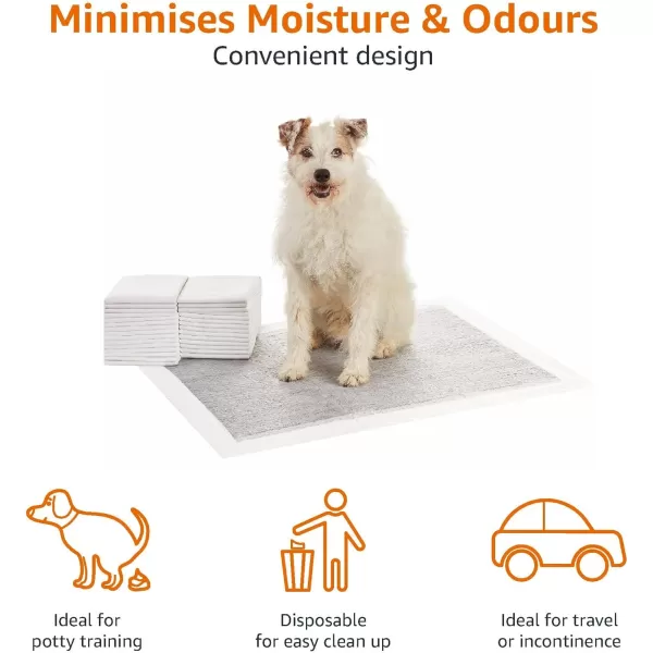 Amazon Basics Dog and Puppy Pee Pads with 5Layer LeakProof Design and QuickDry Surface for Potty Training OdorControl Carbon XL 28 x 34 Inch  Pack of 30 GrayXLarge 30 Count