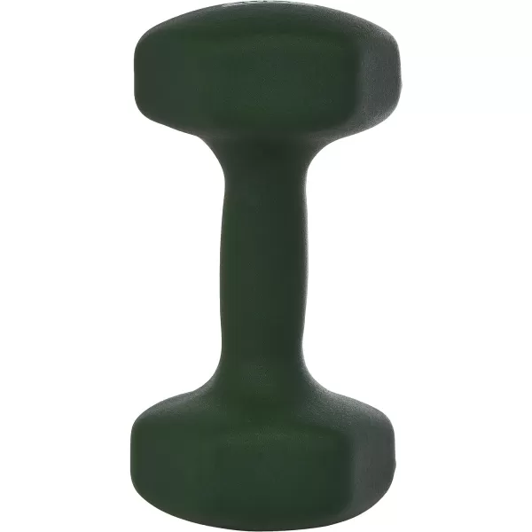 Amazon Basics Neoprene Coated Hexagon Workout Dumbbell Hand Weight20Pound  Pair