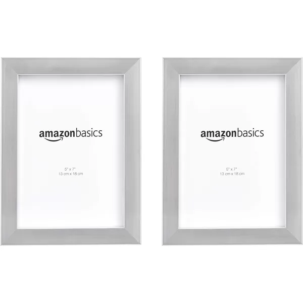 Amazon Basics Rectangular Photo Picture Frame 8 x 10 Pack of 2 NickelNickel