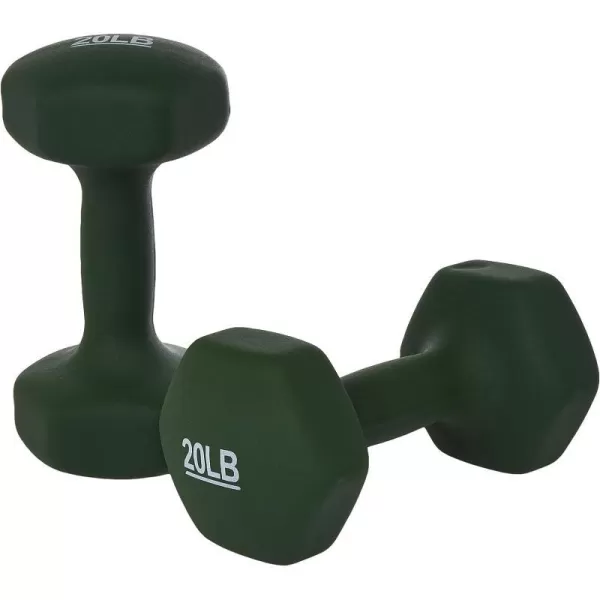 Amazon Basics Neoprene Coated Hexagon Workout Dumbbell Hand Weight20Pound  Pair