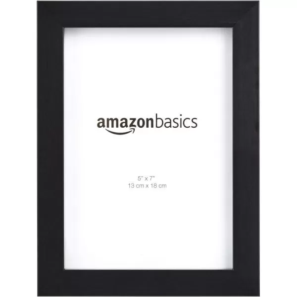 Amazon Basics Rectangular Photo Picture Frame 8 x 10 Pack of 2 NickelBlack
