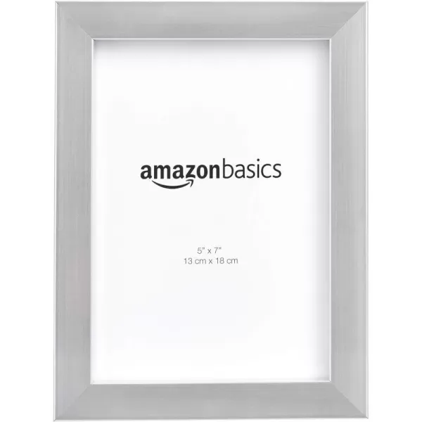 Amazon Basics Rectangular Photo Picture Frame 8 x 10 Pack of 2 NickelNickel