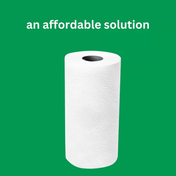 Amazon Basics 2Ply FlexSheets Paper Towels 12 Basics Rolls  32 Regular Rolls Everyday Value with 150 Sheets per Roll2 Rolls Pack of 1