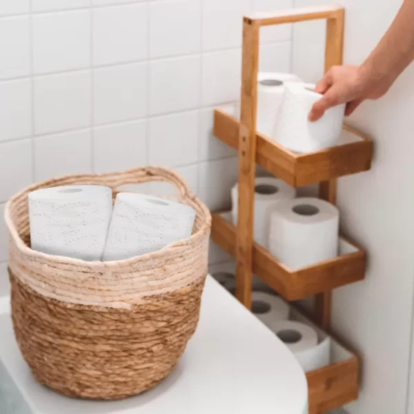 Amazon Basics 2Ply Toilet Paper 30 Rolls  120 Regular Rolls 350 Sheets Pack of 30 Unscented350 sheet Pack of 30