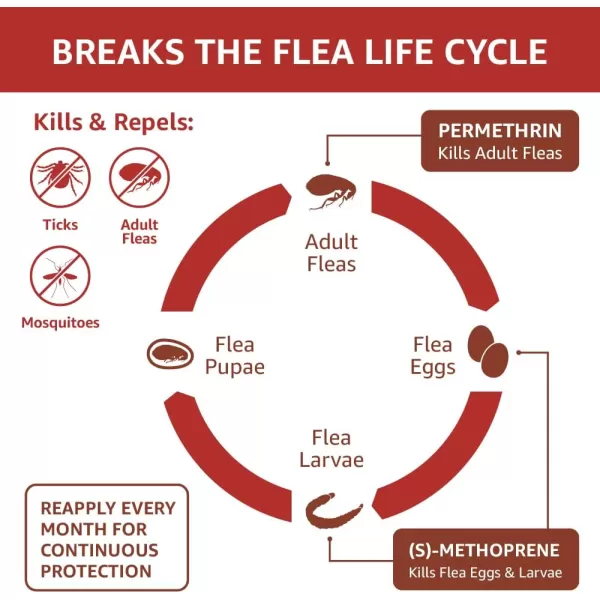 Amazon Basics Flea Tick amp Mosquito Topical for Medium Dog 1120 pounds 4 CountLarge Dogs 21  55 lbs 4 Count