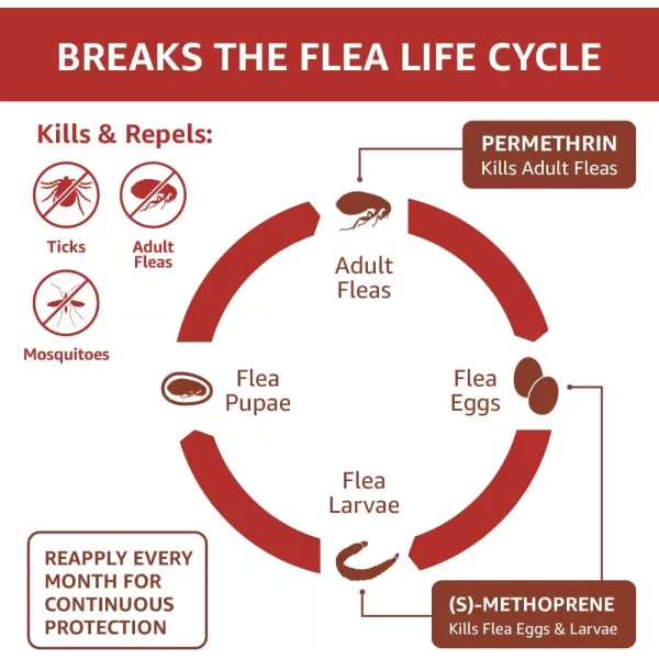 Amazon Basics Flea Tick amp Mosquito Topical for Medium Dog 1120 pounds 4 CountLarge Dogs 21  55 lbs 6 Count