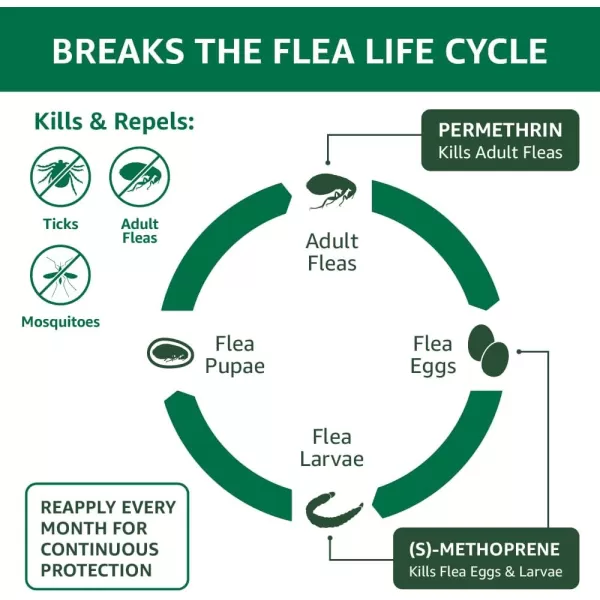 Amazon Basics Flea Tick amp Mosquito Topical for Medium Dog 1120 pounds 4 CountSmall Dogs 4  10 lbs 4 Count