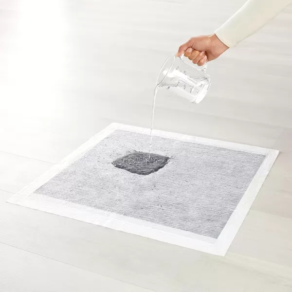 Amazon Basics Dog and Puppy Pee Pads with 5Layer LeakProof Design and QuickDry Surface for Potty Training OdorControl Carbon Regular Size 22 x 22 Inch  Pack of 80 GrayXLarge 50 Count