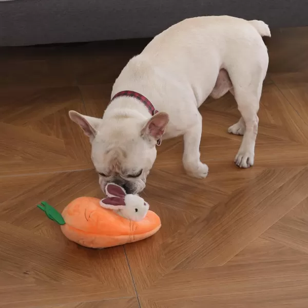 Amazon Basics Hide and Seek Squeaky Dog Plush Toy Rabbit and Carrot Orange and white 5 PackAmazon Basics Hide and Seek Squeaky Dog Plush Toy Rabbit and Carrot Orange and white 5 Pack