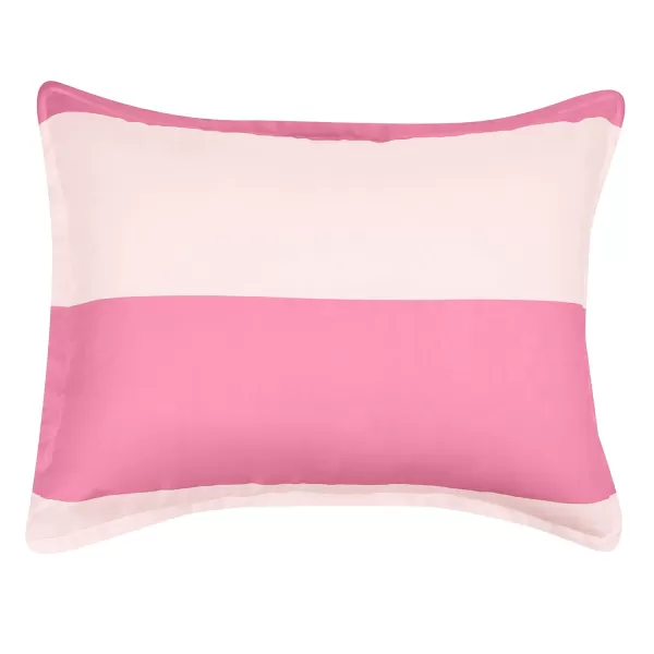 Amazon Basics Kids Easy Care Microfiber BedinaBag 5Piece Bedding Set Twin Butterfly FriendsBlushPink Stripe Twin