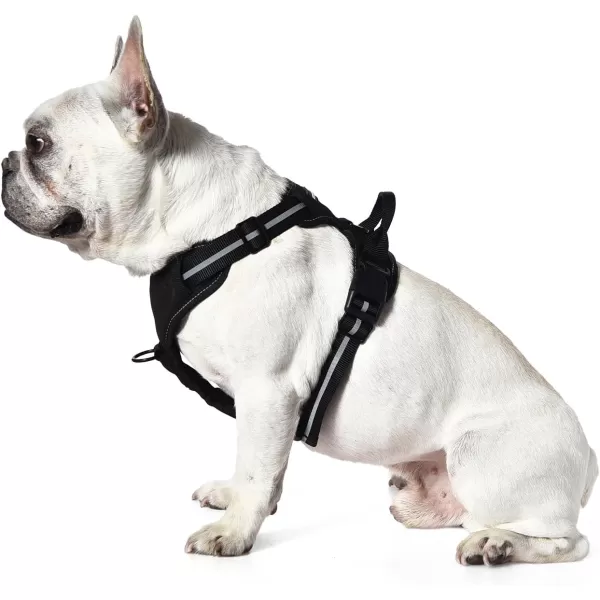 Amazon Basics NoPull Adjustable Soft Padded Dog Vest Harness with Reflective Stripes Black MediumSmall