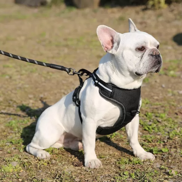 Amazon Basics NoPull Adjustable Soft Padded Dog Vest Harness with Reflective Stripes Black MediumSmall